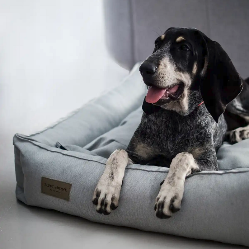 Panier élégant pour chien, coloris gris