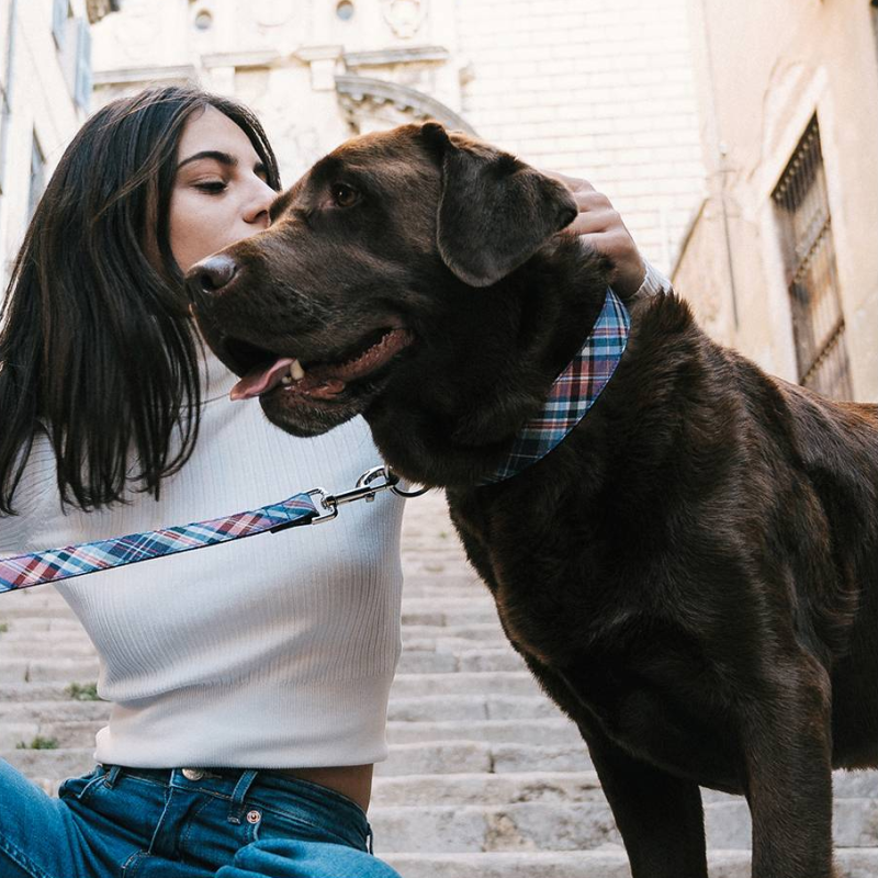 Collier pour chien en nylon, avec tissu imprimé à carreaux