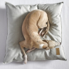 Coussin design pour chien, coloris gris