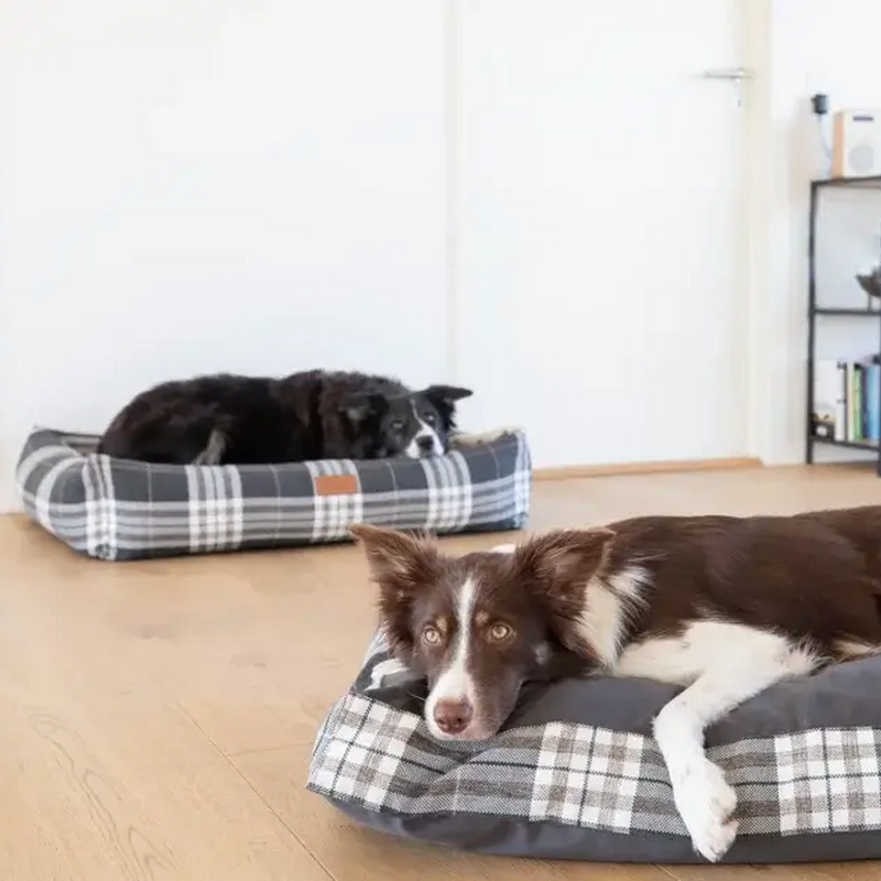 Coussin élégant pour chien, coloris graphite